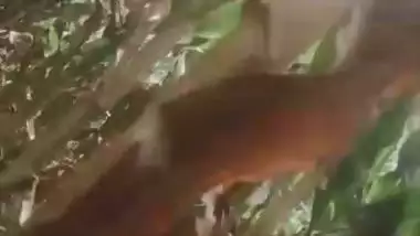 Dehati Chitkul village lady outdoor nangi video